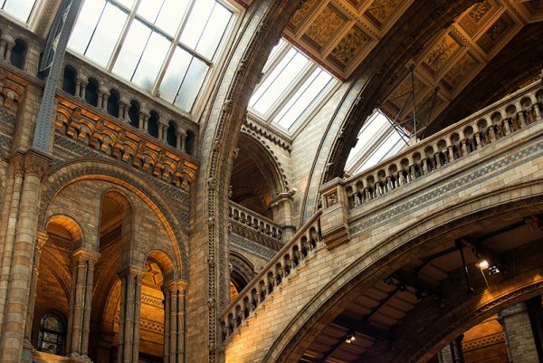 Detalhe do Museu de História Natural de Londres, Inglaterra 02
