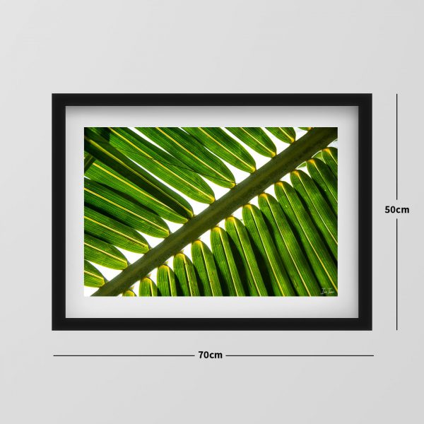 Linhas Verdes - 05 - Image 2