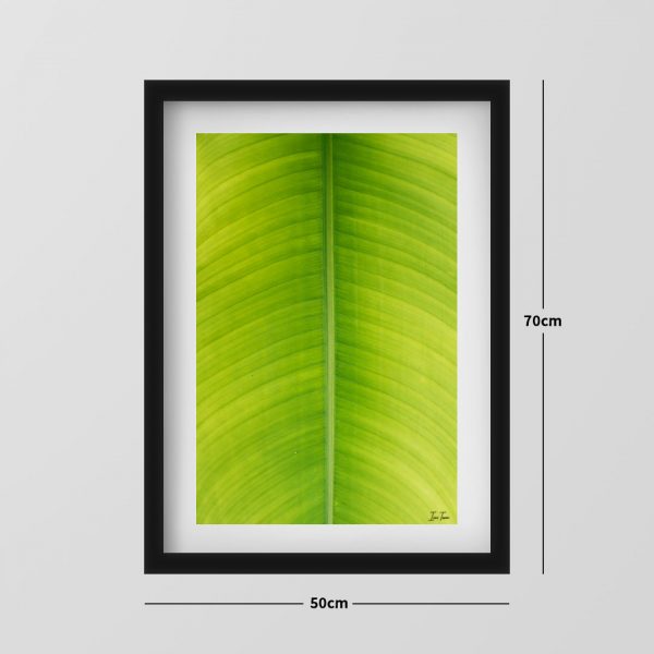 Linhas Verdes - 07 - Image 2