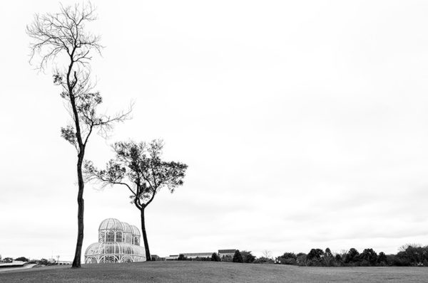 quadros recife decorativo fine art surreal jardim botânico curitiba preto e branco