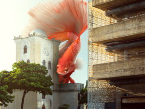 recife surreal quadros fine art peixe fora d'água malakoff fotografia