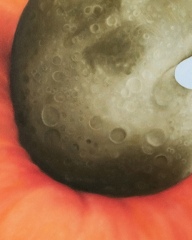 cajú lunar pintura em Óleo sobre tela 60x90 cm