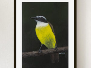 bem te vi pintura em acrílica sobre eucatex 60x40cm